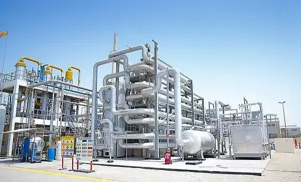 Complex process plant